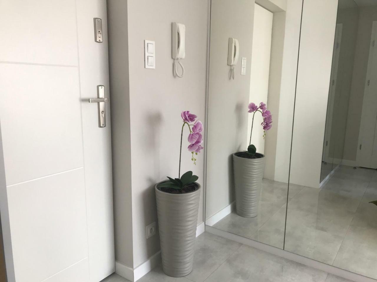 Apartament Exclusive Centrum 比亚韦斯托克 外观 照片